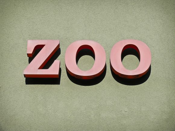 Typo-Überbleibsel: ZOO